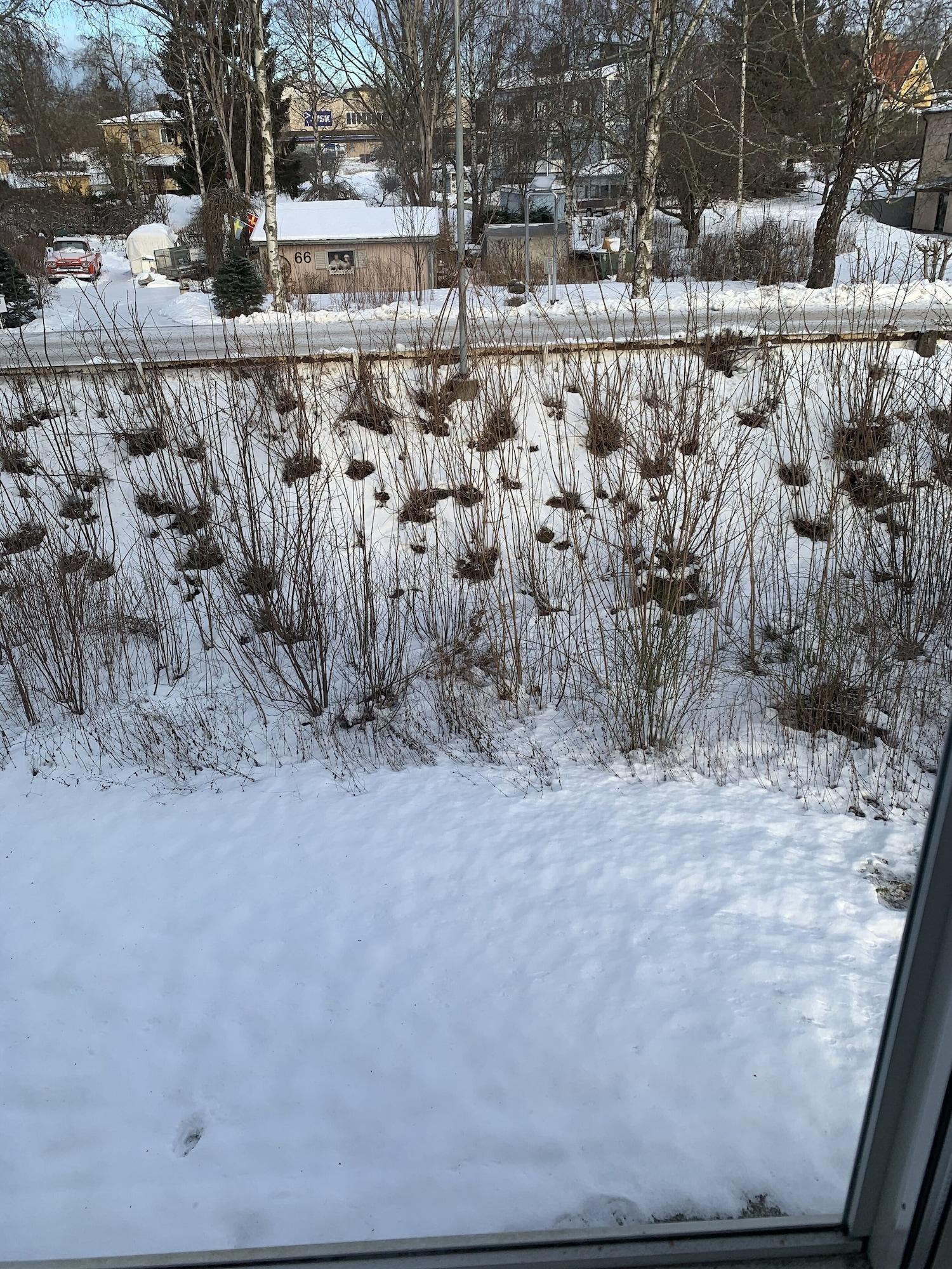 Fagersta Stadshotell Ab Bagian luar foto